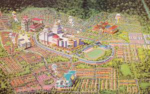 Banyan Consulting - project management