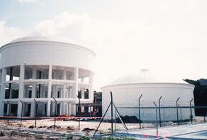 Banyan Consulting - project management