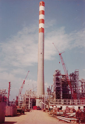 Banyan Consulting - project management