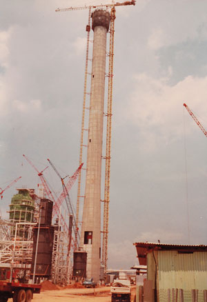 Banyan Consulting - project management