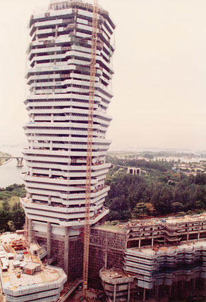 Banyan Consulting - project management