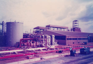 Banyan Consulting - project management