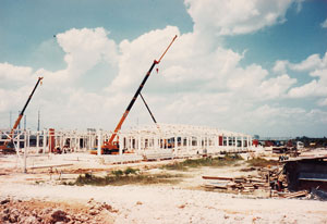 Banyan Consulting - project management