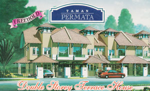 Banyan Consulting - project management