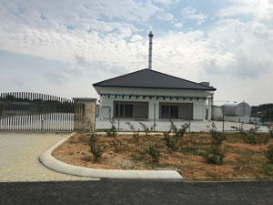 Banyan Consulting - project management